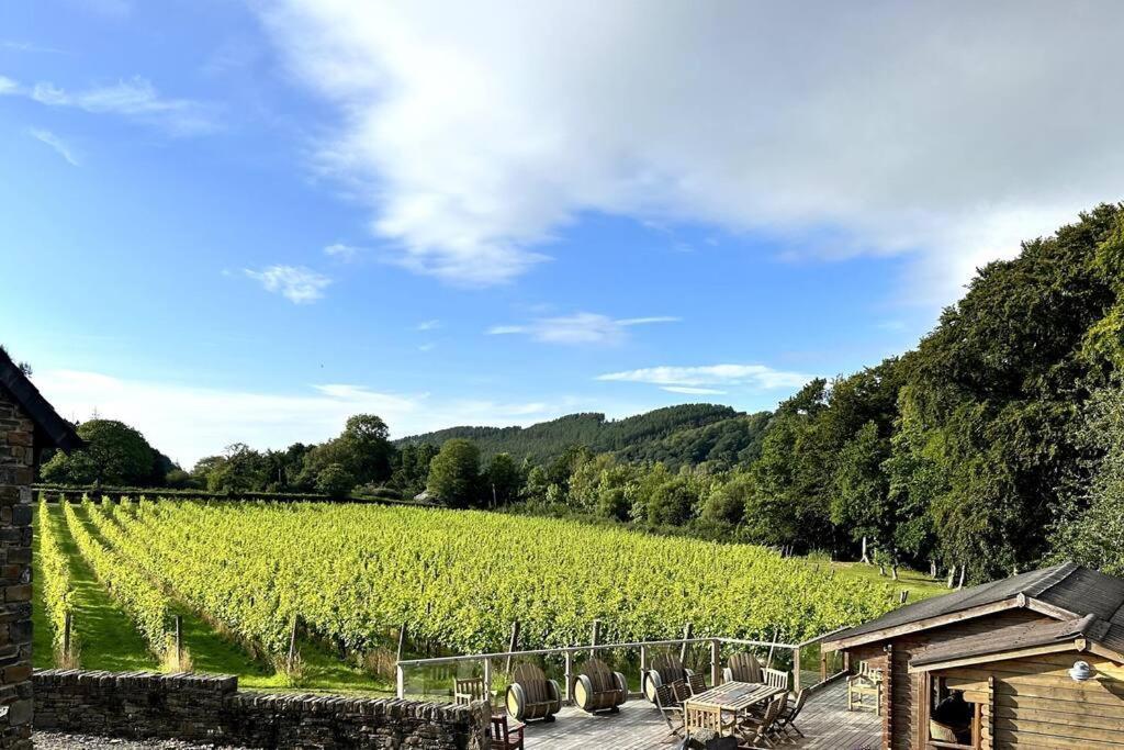Vineyard Country Cottage Llanerch-Aeron Buitenkant foto