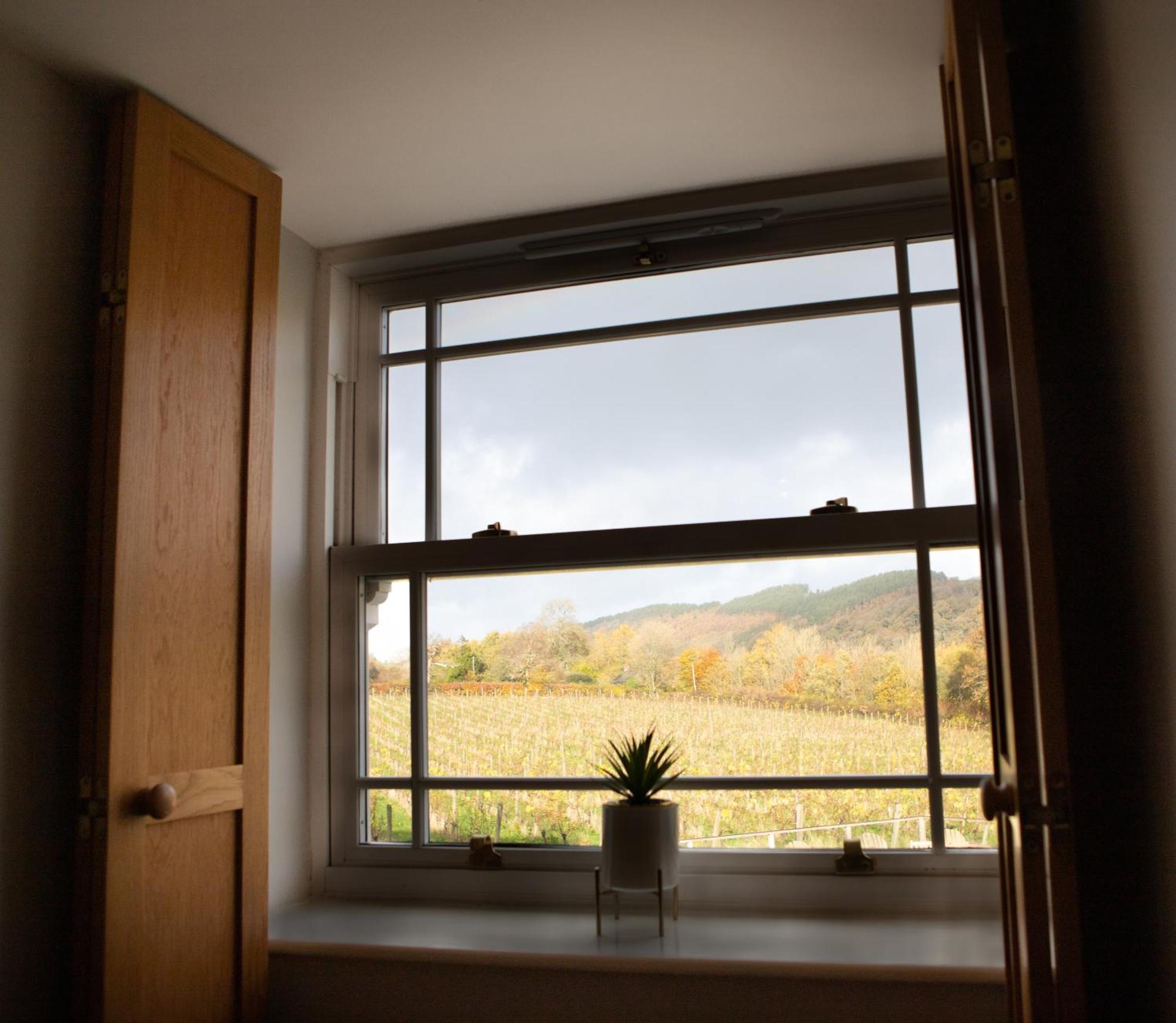 Vineyard Country Cottage Llanerch-Aeron Buitenkant foto